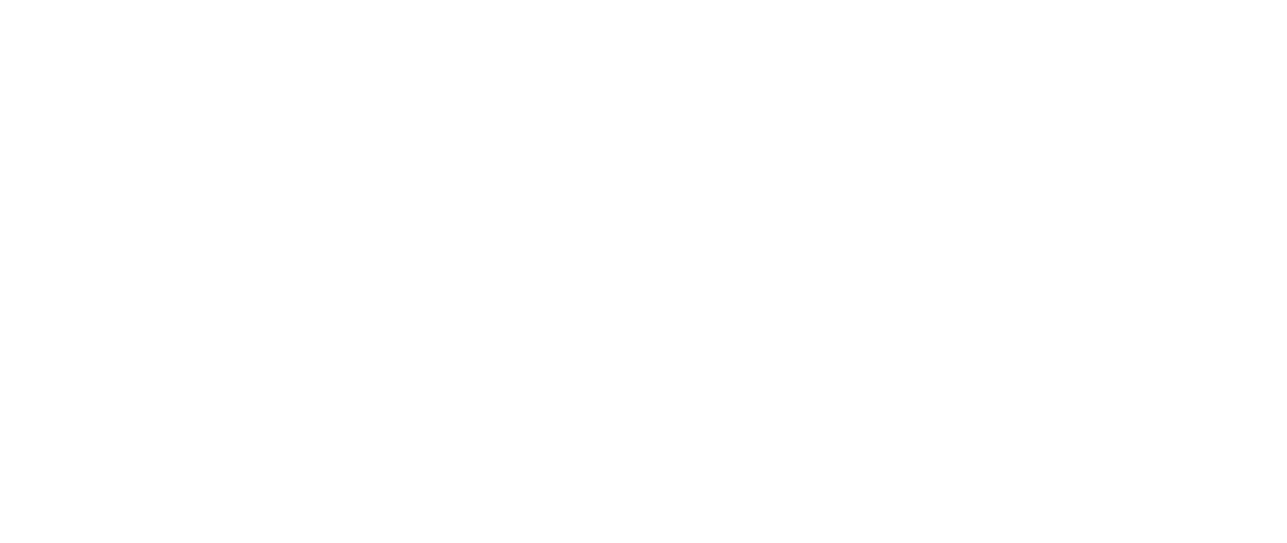 Chihuahua Capital, Municipal Government